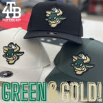 For the Bay Bull Dry-fit hat