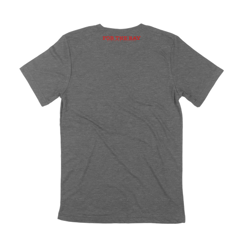 Team Tampa Bay TB Grey