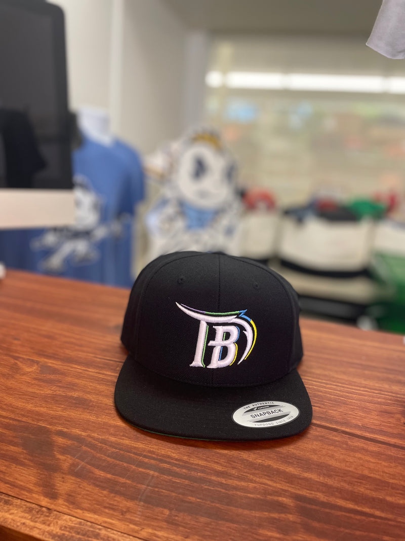 Tampa Bay Retro Baseball Snapback hat