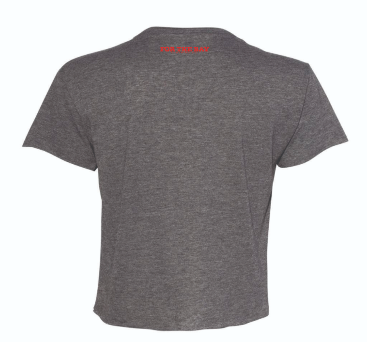 Ladies Script Tampa Bay Cropped tee