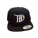 Tampa Bay Retro Baseball Snapback hat