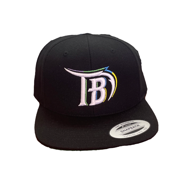 Tampa Bay Retro Baseball Snapback hat