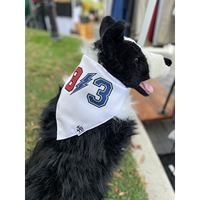 blue jays dog sweater muzejvojvodine .rs